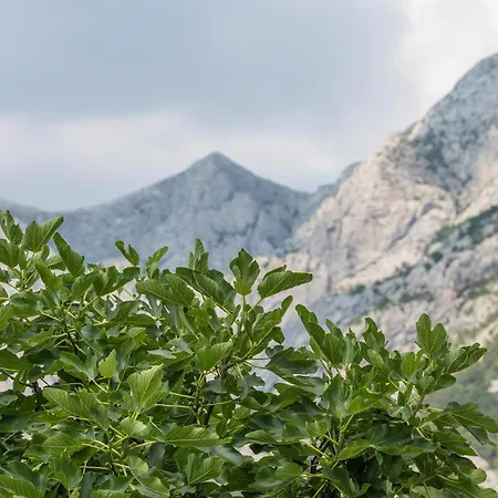 Apartment Strawberry Makarska Exterior photo