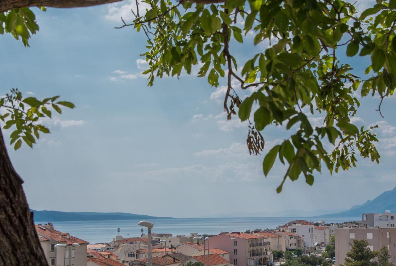 Strawberry Makarska